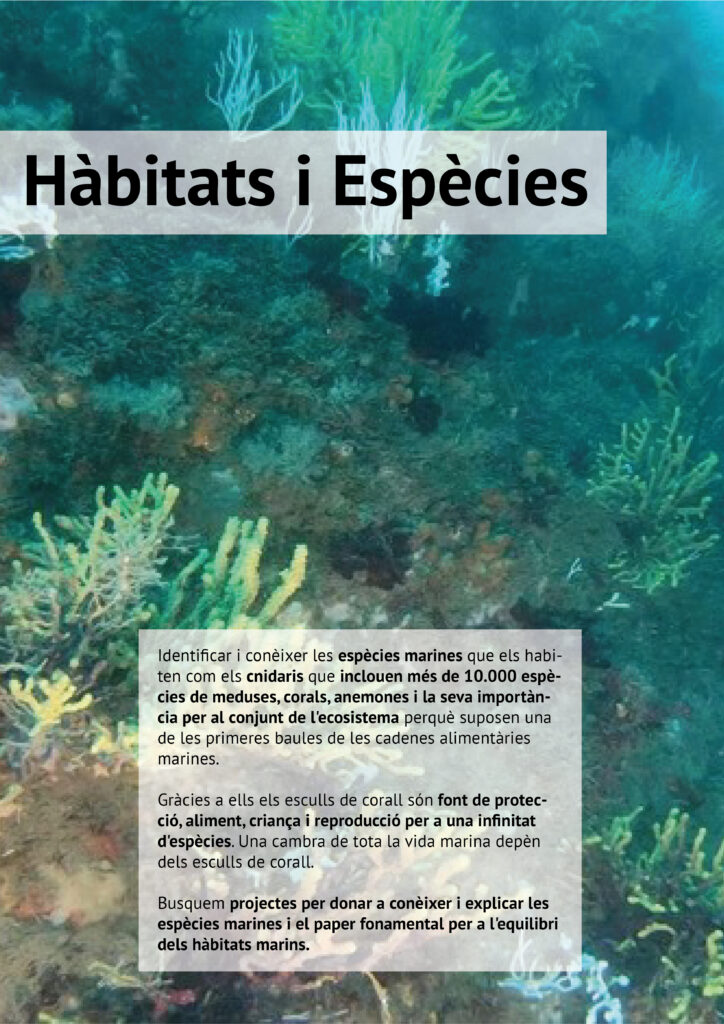 habitats i especies-05